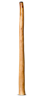 Jesse Lethbridge Didgeridoo (JL115)